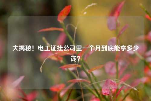 大揭秘！電工證掛公司里一個(gè)月到底能拿多少錢？-圖1
