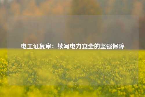 電工證復(fù)審：續(xù)寫電力安全的堅(jiān)強(qiáng)保障-圖1