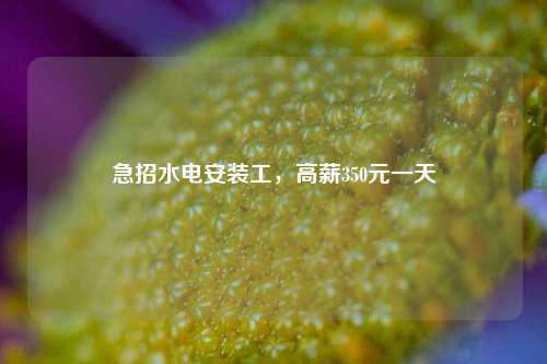 急招水電安裝工，高薪350元一天-圖1