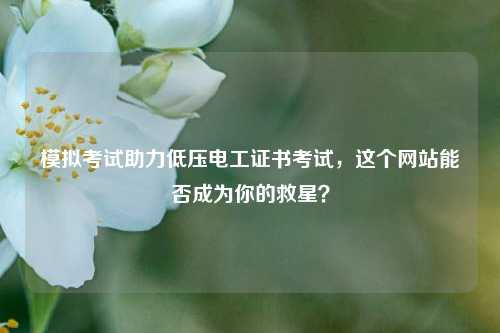 模擬考試助力低壓電工證書考試，這個網(wǎng)站能否成為你的救星？-圖1