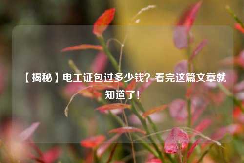 【揭秘】電工證*過(guò)多少錢(qián)？看完這篇文章就知道了！-圖1