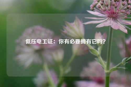 低壓電工證：你有必要擁有它嗎？-圖1