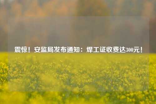 震驚！安監(jiān)局發(fā)布通知：焊工證收費(fèi)達(dá)300元！-圖1