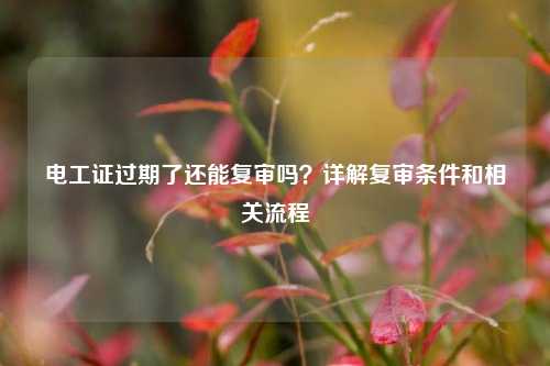 電工證過期了還能復審嗎？詳解復審條件和相關(guān)流程-圖1