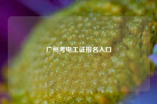 廣州考電工證報(bào)名入口-圖1