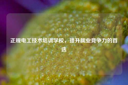 正規(guī)電工技術(shù)培訓(xùn)學(xué)校，提升就業(yè)競(jìng)爭(zhēng)力的首選-圖1