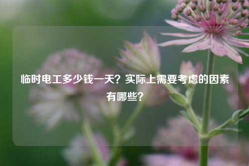 臨時(shí)電工多少錢一天？實(shí)際上需要考慮的因素有哪些？-圖1