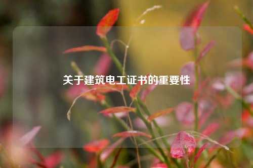 關(guān)于建筑電工證書的重要性-圖1