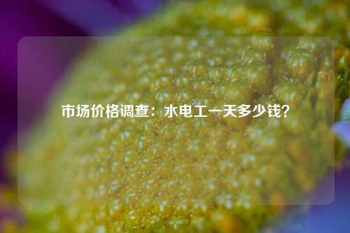 市場價格調(diào)查：水電工一天多少錢？-圖1