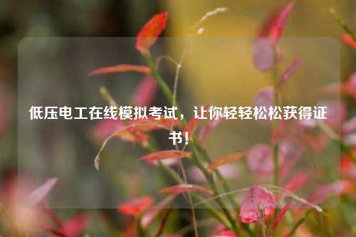 低壓電工在線模擬考試，讓你輕輕松松獲得證書！-圖1