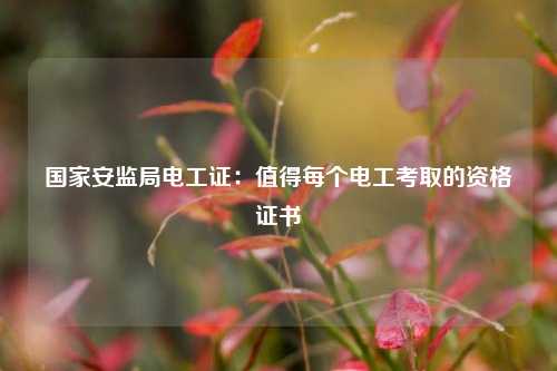 國(guó)家安監(jiān)局電工證：值得每個(gè)電工考取的資格證書-圖1