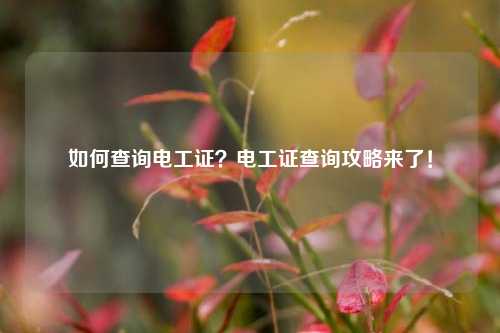 如何查詢電工證？電工證查詢攻略來了！-圖1