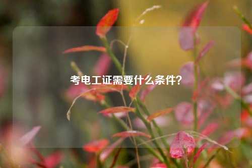 考電工證需要什么條件？-圖1
