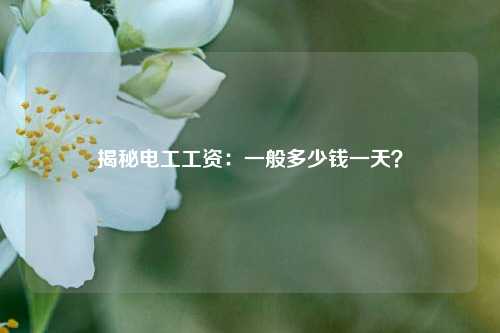 揭秘電工工資：一般多少錢一天？-圖1